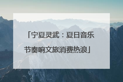 宁夏灵武：夏日音乐节奏响文旅消费热浪