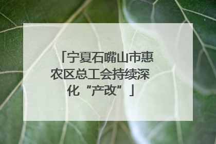 宁夏石嘴山市惠农区总工会持续深化“产改”