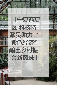 宁夏西夏区 科技特派员助力“紫色经济”酿出乡村振兴新风味