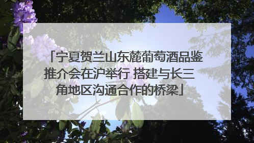 宁夏贺兰山东麓葡萄酒品鉴推介会在沪举行 搭建与长三角地区沟通合作的桥梁