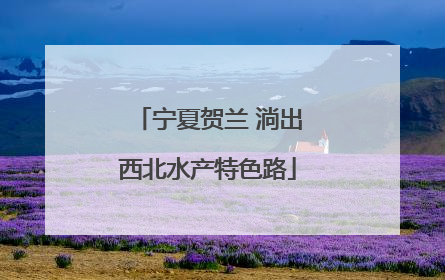 宁夏贺兰 淌出西北水产特色路