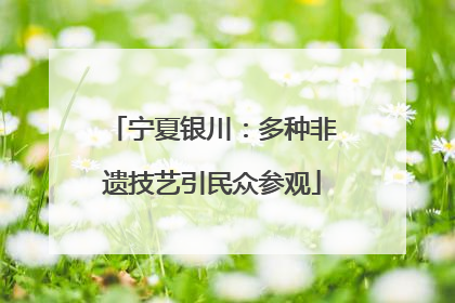 宁夏银川：多种非遗技艺引民众参观