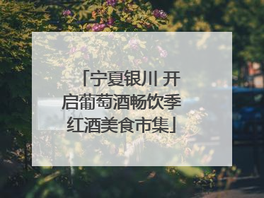 宁夏银川 开启葡萄酒畅饮季红酒美食市集