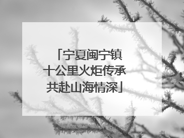 宁夏闽宁镇 十公里火炬传承共赴山海情深
