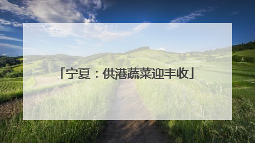 宁夏：供港蔬菜迎丰收