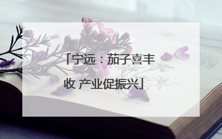 宁远：茄子喜丰收 产业促振兴