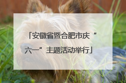安徽省暨合肥市庆“六一”主题活动举行