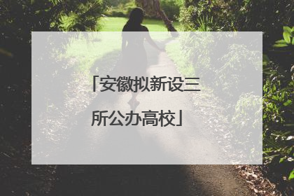 安徽拟新设三所公办高校