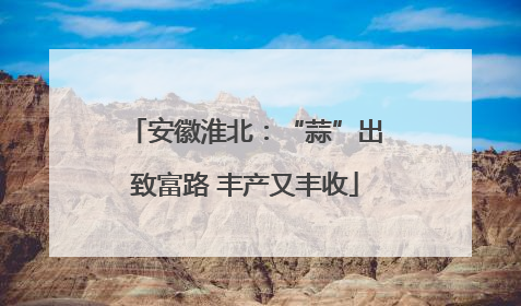 安徽淮北：“蒜”出致富路 丰产又丰收