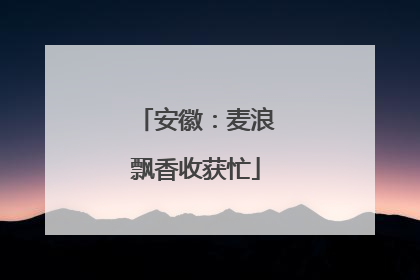 安徽：麦浪飘香收获忙