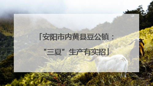 安阳市内黄县豆公镇：“三夏”生产有实招