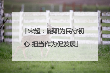 宋超：履职为民守初心 担当作为促发展