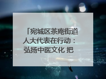 宛城区茶庵街道人大代表在行动：弘扬中医文化 把脉基层健康