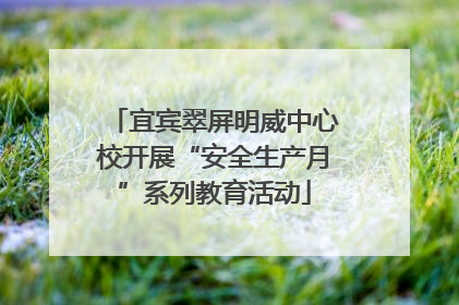 宜宾翠屏明威中心校开展“安全生产月”系列教育活动