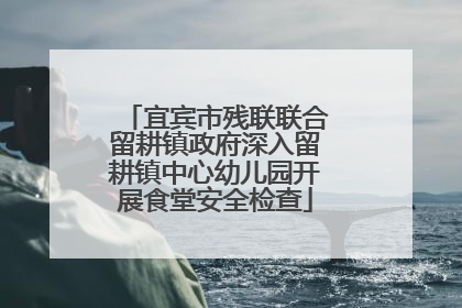 宜宾市残联联合留耕镇政府深入留耕镇中心幼儿园开展食堂安全检查