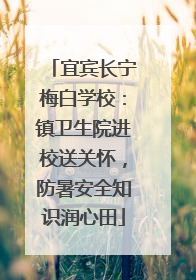 宜宾长宁梅白学校：镇卫生院进校送关怀，防暑安全知识润心田