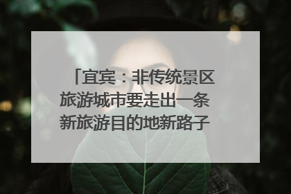 宜宾：非传统景区旅游城市要走出一条新旅游目的地新路子｜话锦绣·说安逸
