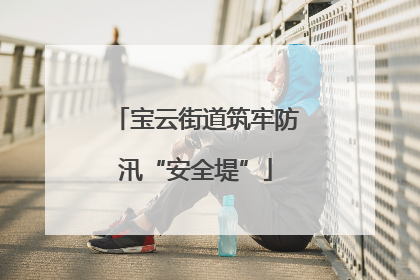 宝云街道筑牢防汛“安全堤”