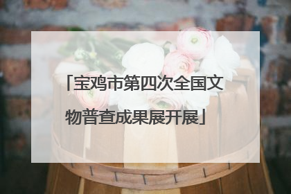 宝鸡市第四次全国文物普查成果展开展