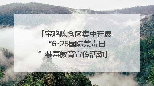 宝鸡陈仓区集中开展“6･26国际禁毒日”禁毒教育宣传活动