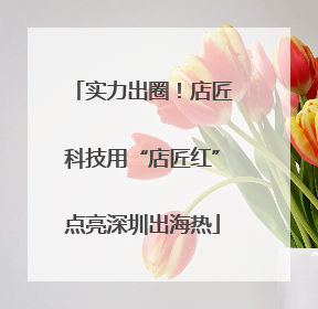 实力出圈！店匠科技用“店匠红”点亮深圳出海热