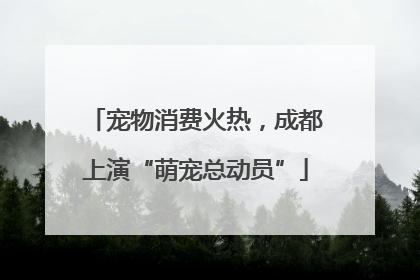 宠物消费火热，成都上演“萌宠总动员”