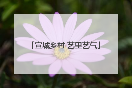 宣城乡村 艺里艺气