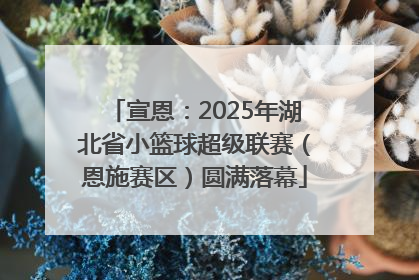宣恩：2025年湖北省小篮球超级联赛（恩施赛区）圆满落幕