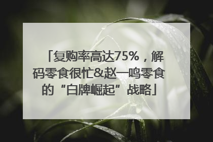 复购率高达75%，解码零食很忙&赵一鸣零食的“白牌崛起”战略