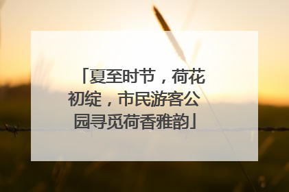 夏至时节，荷花初绽，市民游客公园寻觅荷香雅韵