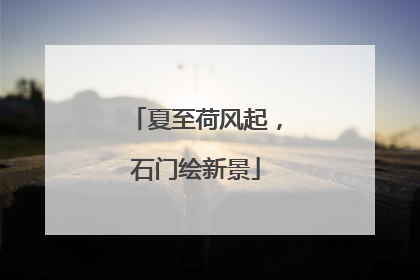 夏至荷风起，石门绘新景