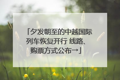 夕发朝至的中越国际列车恢复开行 线路、购票方式公布→