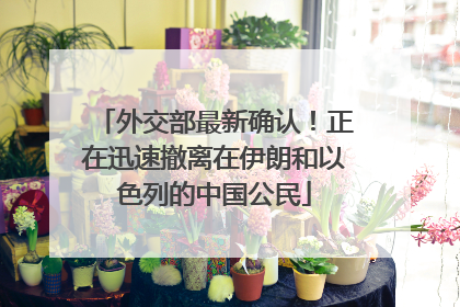 外交部最新确认！正在迅速撤离在伊朗和以色列的中国公民
