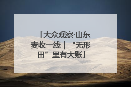 大众观察·山东麦收一线｜“无形田”里有大账