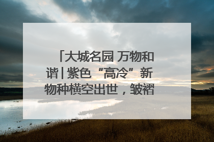 大城名园 万物和谐│紫色“高冷”新物种横空出世，皱褶叶片暗藏进化密码