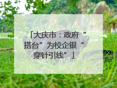 大庆市：政府“搭台”为校企银“穿针引线”