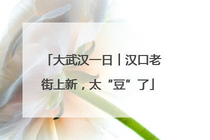 大武汉一日︱汉口老街上新，太“豆”了