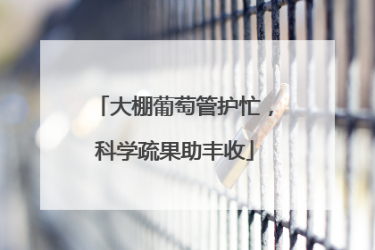大棚葡萄管护忙，科学疏果助丰收