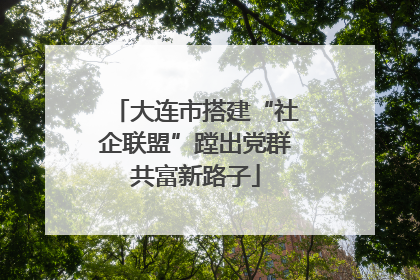 大连市搭建“社企联盟”蹚出党群共富新路子