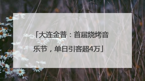 大连金普：首届烧烤音乐节，单日引客超4万