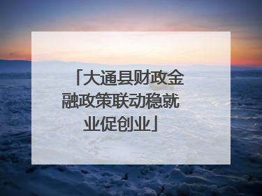 大通县财政金融政策联动稳就业促创业