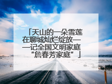 天山的一朵雪莲在聊城灿烂绽放——记全国文明家庭“詹春芳家庭”