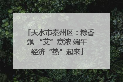 天水市秦州区：粽香飘 “艾”意浓 端午经济“热”起来
