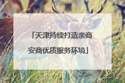 天津持续打造亲商安商优质服务环境
