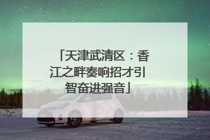 天津武清区：香江之畔奏响招才引智奋进强音