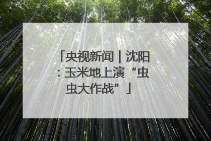 央视新闻｜沈阳：玉米地上演“虫虫大作战”