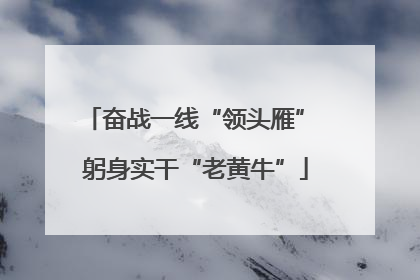 奋战一线“领头雁” 躬身实干“老黄牛”