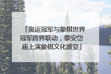 奥运冠军与象棋世界冠军跨界联动，泰安岱庙上演象棋文化盛宴