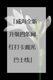 威海全新升级四条网红打卡观光巴士线