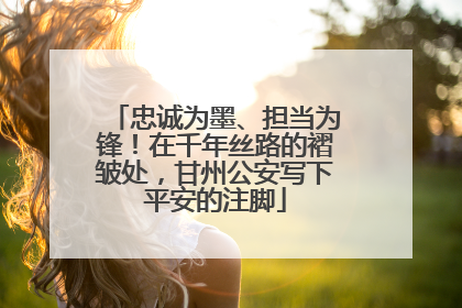 忠诚为墨、担当为锋！在千年丝路的褶皱处，甘州公安写下平安的注脚